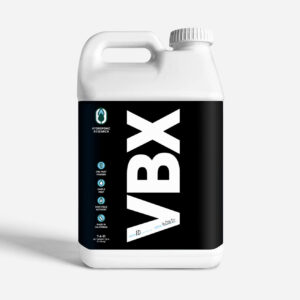 VBX